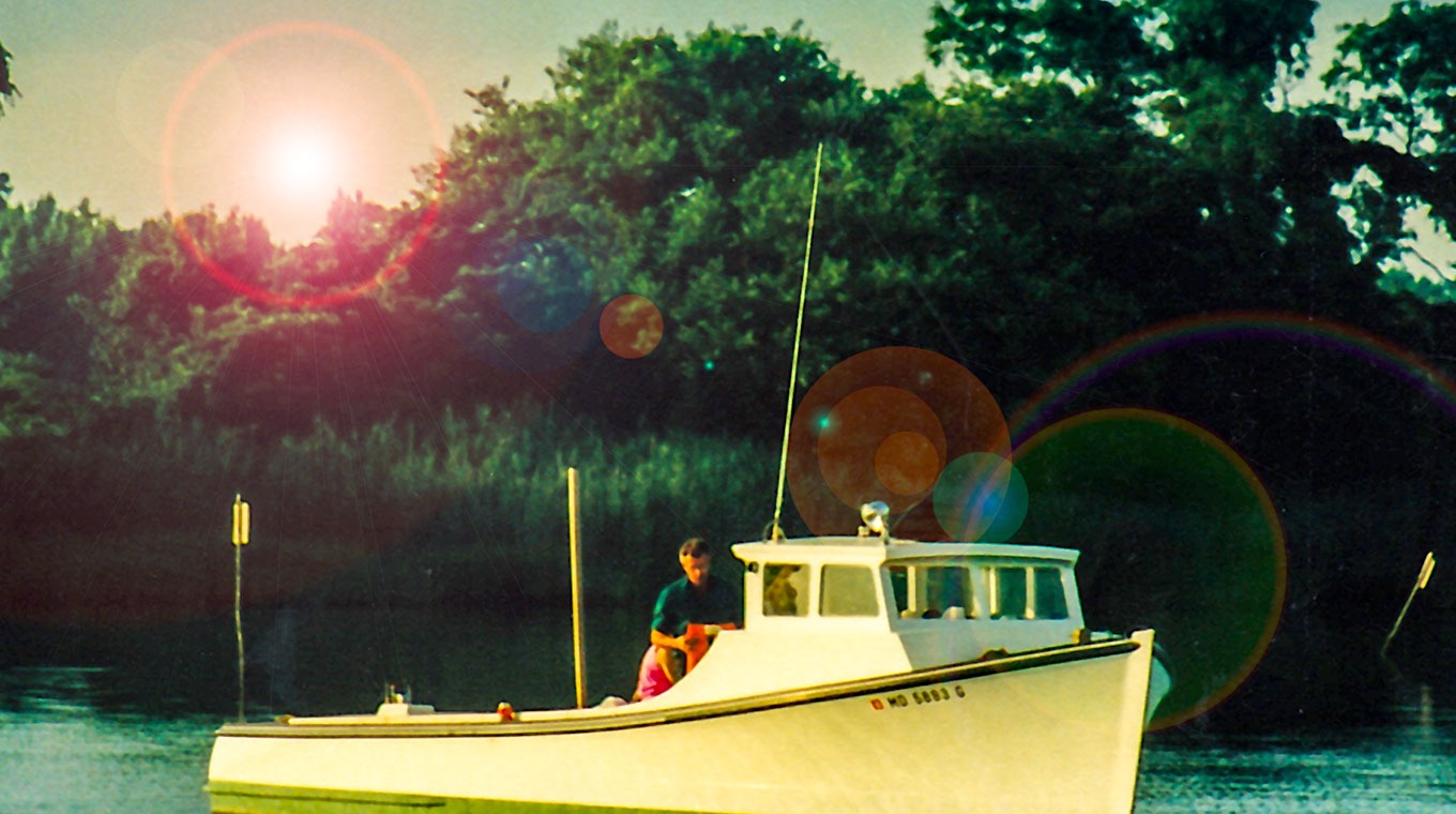 banner-img